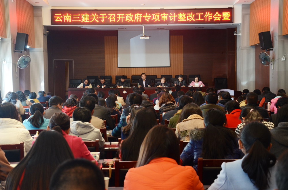 公司召開政府專項(xiàng)審計(jì)整改工作 暨2015年財(cái)務(wù)決算及2016年全面預(yù)算工作布置會(huì)