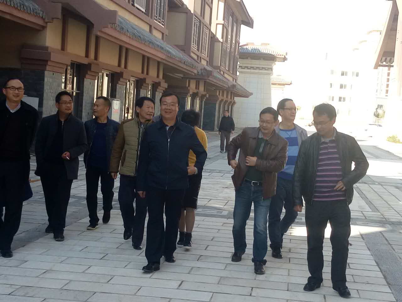 保山市市長楊軍到漢營走馬古鎮(zhèn)項目視察
