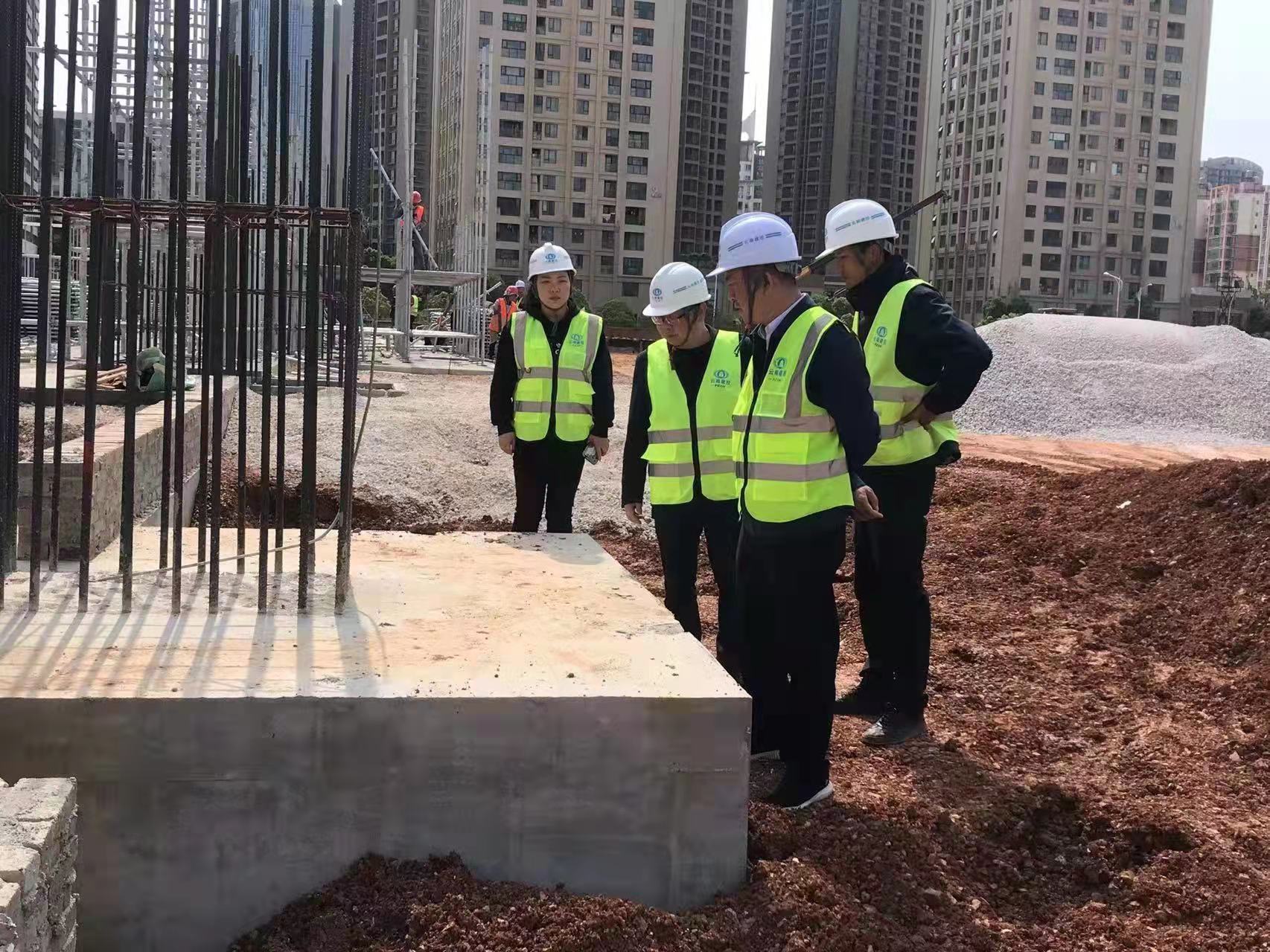 吳勇調(diào)研昆明卷煙工商物流一體化建設(shè)項目